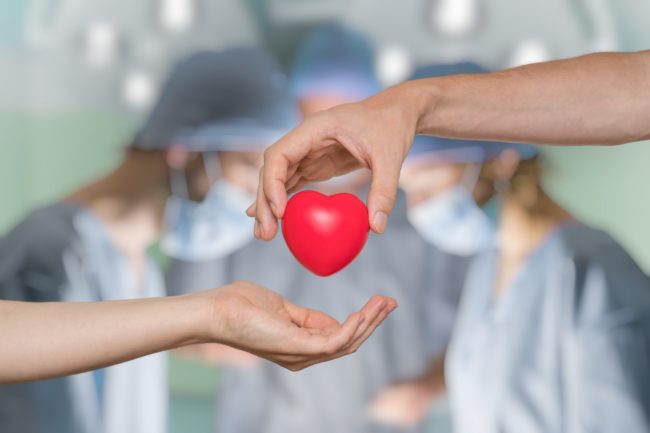 Heart,Transplant,And,Organ,Donation,Concept.,Hand,Is,Giving,Red
